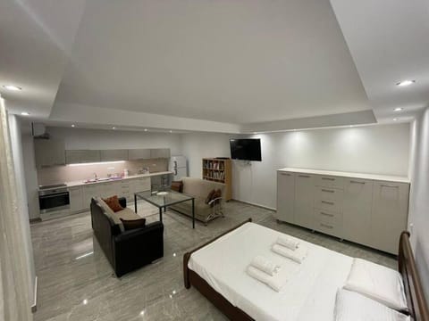 Bed, TV and multimedia, Kitchen or kitchenette, Living room, Photo of the whole room, Seating area, Bedroom, towels