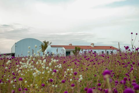 Property building, Spring, Day, Natural landscape, Garden, View (from property/room), Garden view