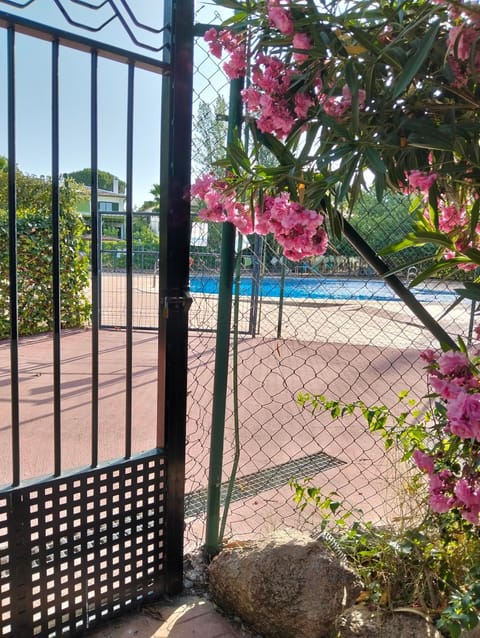 Pool view