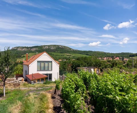 Property building, Natural landscape, Mountain view