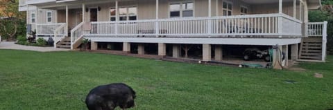 Mākaha House House in Makaha