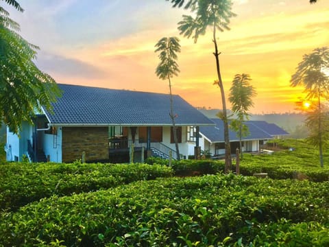 Property building, Spring, Day, Natural landscape, Garden, Garden view, Sunrise, Sunset
