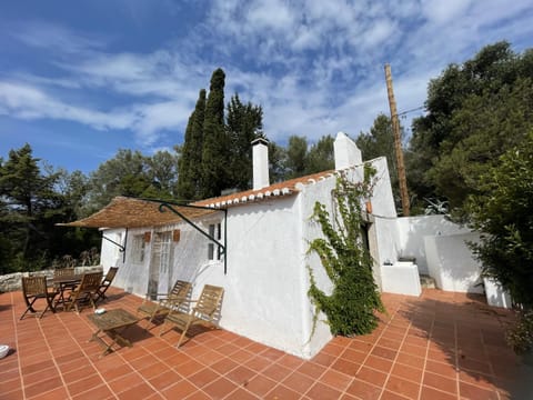 Property building, Patio, Day