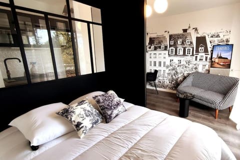 Le p'tit Beauce au Cœur de Chartres Apartment in Chartres