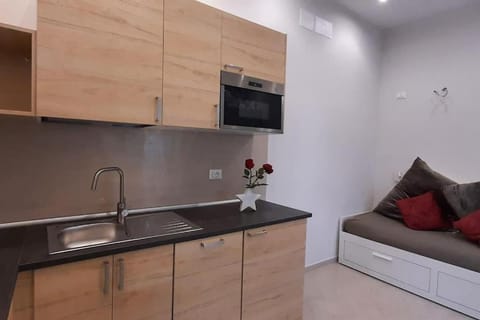 Kitchen or kitchenette, minibar, pet friendly, stove