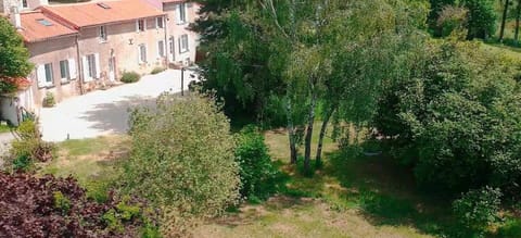 Natural landscape, Garden, Garden view
