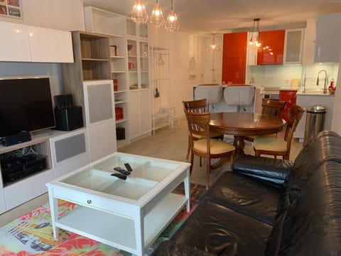 TV and multimedia, Kitchen or kitchenette, Living room, Seating area, Dining area, minibar, pet friendly, stove
