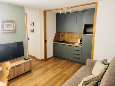 Kitchen or kitchenette, Living room