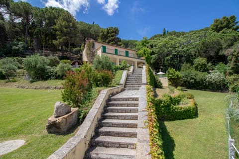 Day, Natural landscape, Garden, Garden view