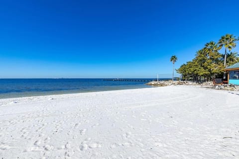 Your stay on the Bay! Apartment hotel in Ruskin