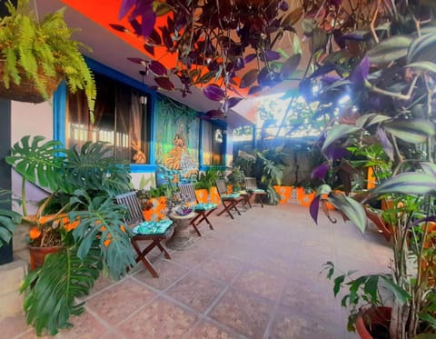 Property building, Patio, Internal: Not applicable to any particular room