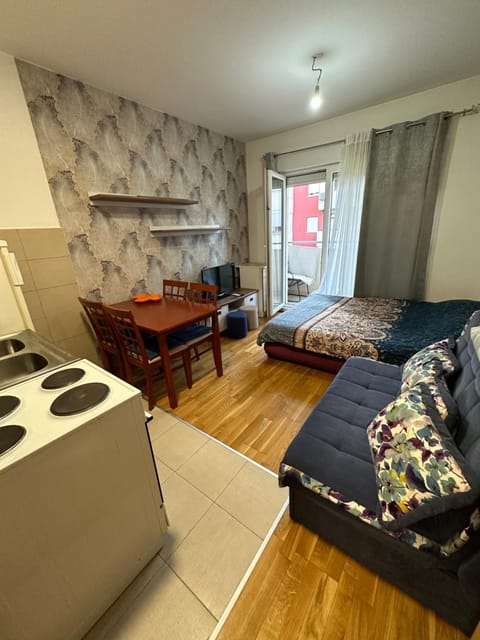 Ania apartment Apartment in Podgorica