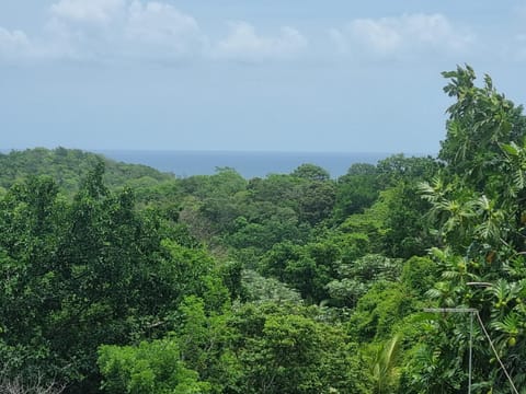 Natural landscape, Mountain view, Sea view