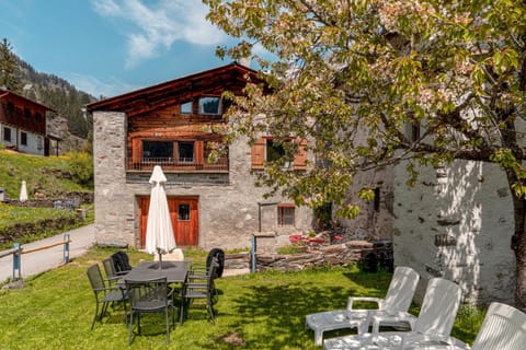 Property building, Summer, Garden