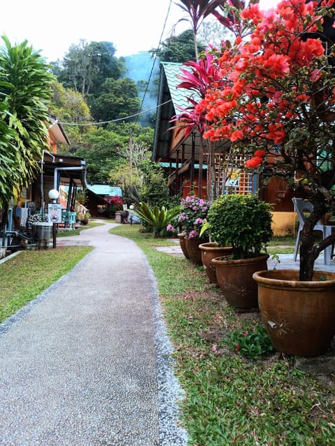 Property building, Natural landscape, Garden, Street view