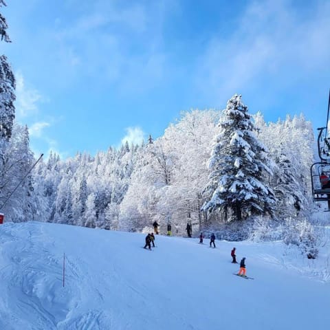 Chalet cosy entre lacs et montagnes Chalet in Métabief