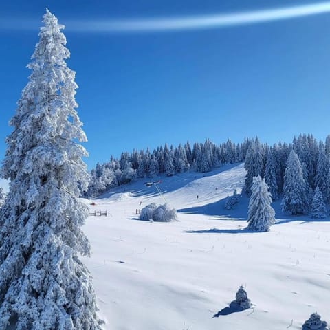 Chalet cosy entre lacs et montagnes Chalet in Métabief