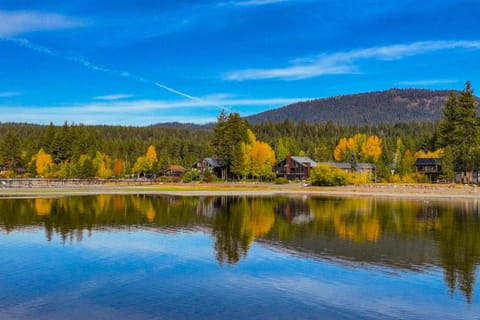 Tree-Lined Views #8 Apartment in Dollar Point