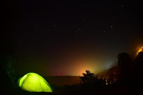 Night