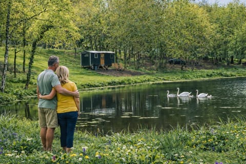 Holt Woodland Glamping - Shepherd Huts & Yurts Dog Friendly Nature lodge in Holt