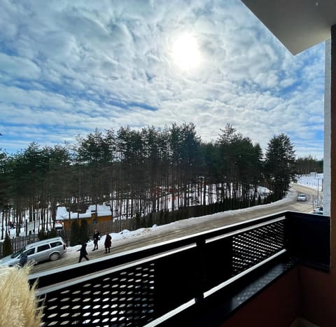 Day, Natural landscape, Winter, View (from property/room), Balcony/Terrace