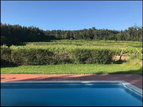 Casa de São Cristóvão - 4r and private swimmingpool House in Viana do Castelo District