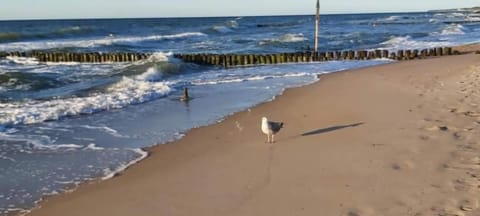 Nearby landmark, Natural landscape, Beach