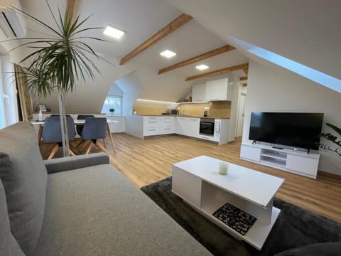 TV and multimedia, Kitchen or kitchenette, Living room, Seating area, minibar, pet friendly, stove