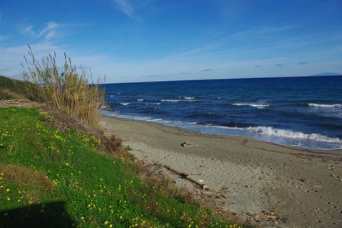 Beach, Sea view