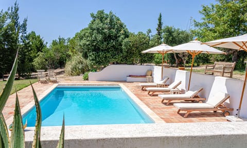 Garden, Pool view, Swimming pool, sunbed