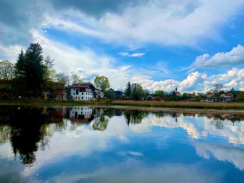 Lake view