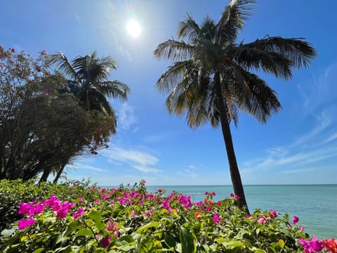 Day, Sea view