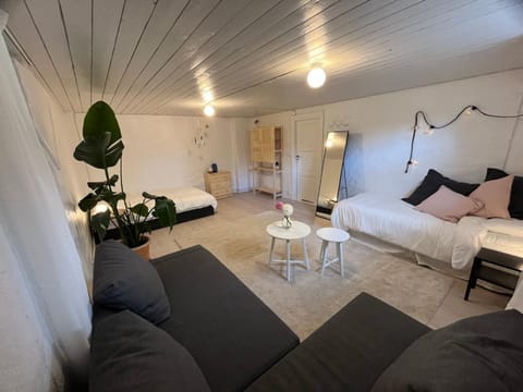 Bed, Living room, Photo of the whole room, Seating area, Bedroom