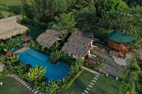 Day, Natural landscape, Bird's eye view, Garden view, Swimming pool, sunbed