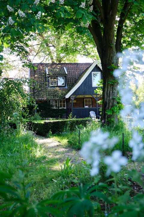 Property building, Spring, Garden