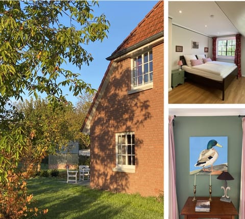 Property building, Garden view