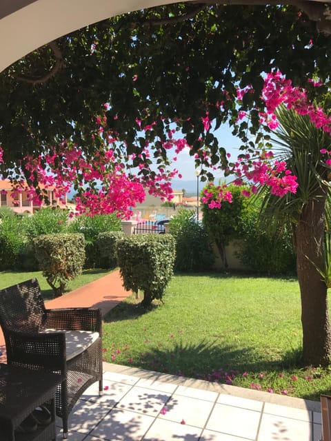 Patio, Garden, Garden, Garden view