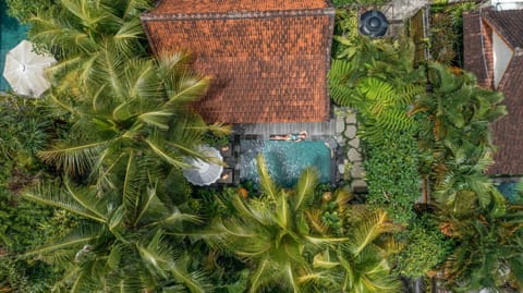 Spring, Day, Garden, Garden view
