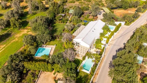 Property building, Natural landscape, Swimming pool, Swimming pool