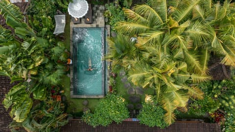 Day, Garden, Garden view, Swimming pool