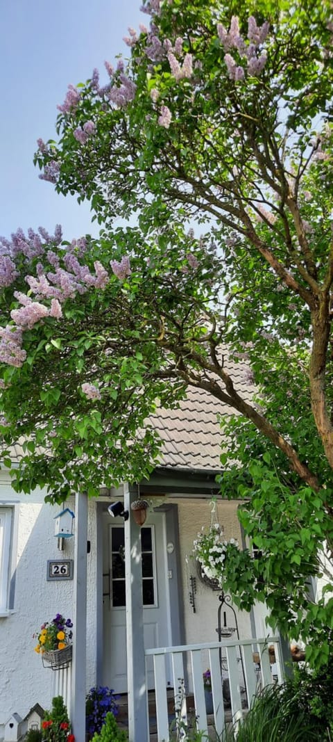 Cosy Home Apartment in Scharbeutz