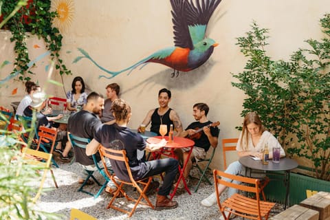 Patio, Day, People, group of guests