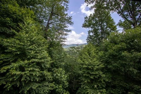 Willow Valley View House in Brushy Fork