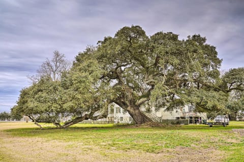 Vintage Louisiana Vacation Rental Home House in False River