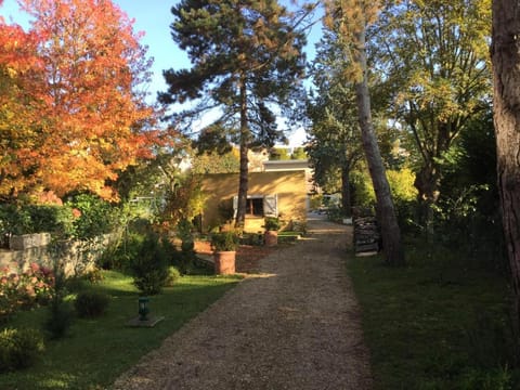 Natural landscape, Garden