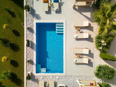 Garden, Garden view, sunbed