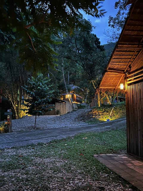 Property building, Night, Breakfast