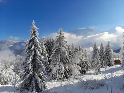 Natural landscape, Winter, Skiing