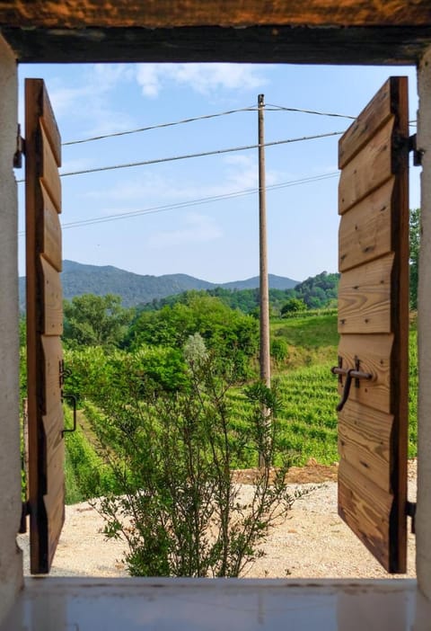 Day, Natural landscape, View (from property/room)