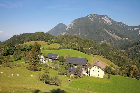 Natural landscape
